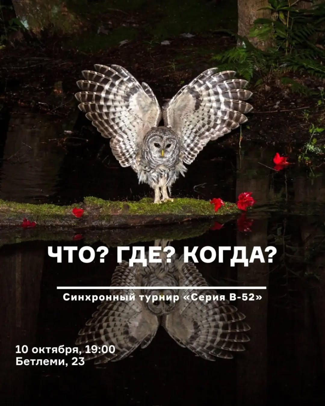 Что? Где? Когда?
